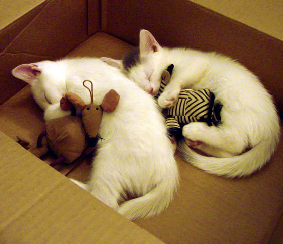 英格拉姆全面爆发诠释天赋,湖人窒息防守锁定爵士咽喉